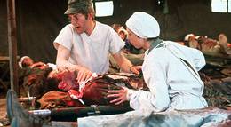 Кадр из фильма "Военно-полевой госпиталь М.Э.Ш." - 1