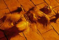 Кадр Исполнитель желаний