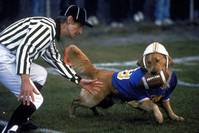 Кадр Король воздуха: Золотая лига