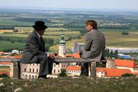 Кадр 2 ягоды