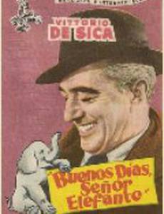 Доброе утро, слон