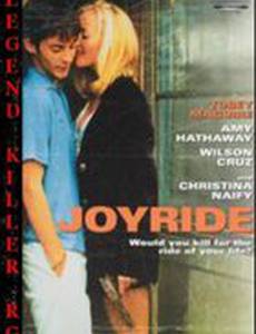 Радостная поездка