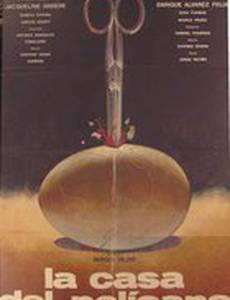 Дом пеликана