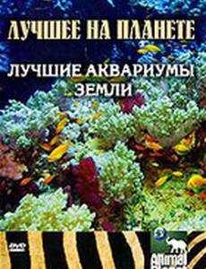 Animal Planet: Лучшие аквариумы земли