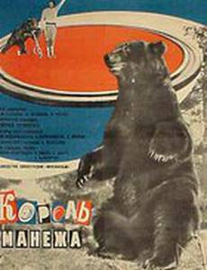 Король манежа