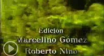 Вступительные титры