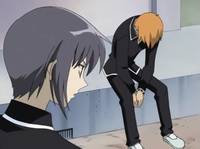 Кадр Корзинка фруктов