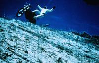 Кадр Черные тигры