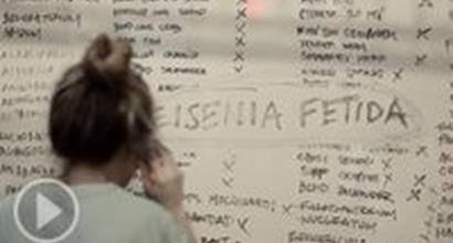 Фрагмент №9