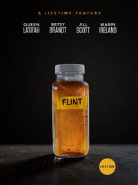 Постер Flint
