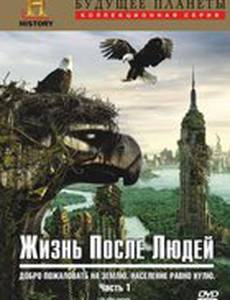 Жизнь после людей