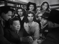 Кадр Собачья жизнь