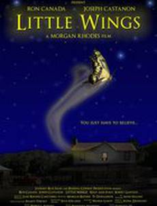 Маленькие крылья