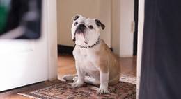 Кадр из фильма "Патерсон" - 1