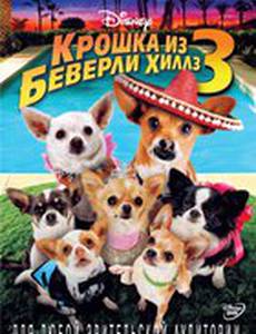 Крошка из Беверли-Хиллз 3 (видео)