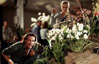 Кадр Адаптация