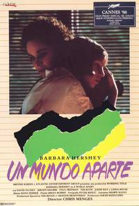 Постер Разделенный мир