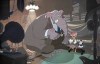 Кадр Коты не танцуют