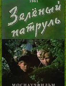 Зелёный патруль