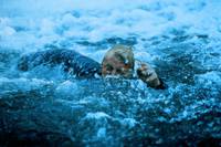 Кадр Смертельные узы