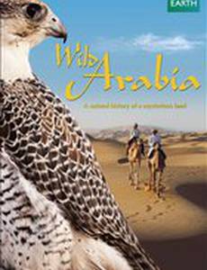 Дикая Аравия (мини-сериал)