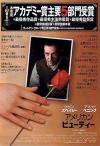 Постер Красота по-американски