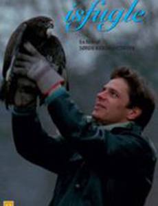 Ледяные птицы