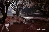 Кадр Божественные тайны сестричек Я-Я