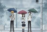 Кадр Корзинка фруктов