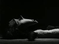 Кадр Винсент