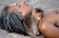 Кадр Страна обезьян