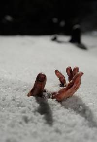 Кадр Замёрзшие