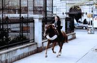 Кадр Консьерж