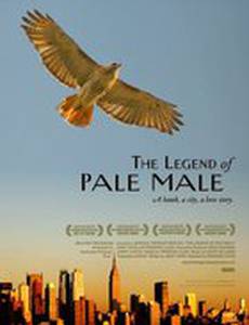 The Legend of Pale Male