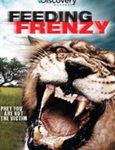 Как прокормить крокодила