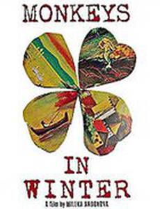 Обезьяны зимой
