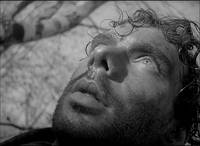 Кадр Летят журавли