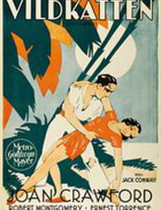 Неприрученный