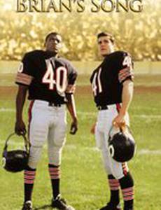 Жизнь Брайана