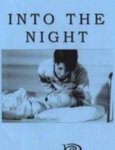 Ночной полет