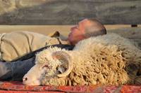 Кадр Испытание