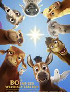 Путеводная звезда