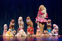 Кадр Дрессировщица пуделей