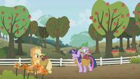 Кадр Мой маленький пони: Дружба – это чудо