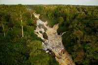 Кадр Однажды в лесу