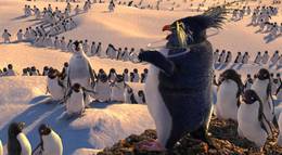 Кадр из фильма "Делай ноги" - 1