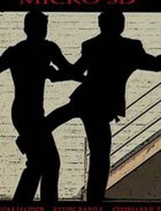 Micro SD (видео)