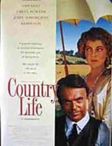 Провинциальный роман