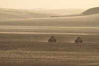 Кадр Черное золото