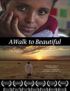 A Walk to Beautiful